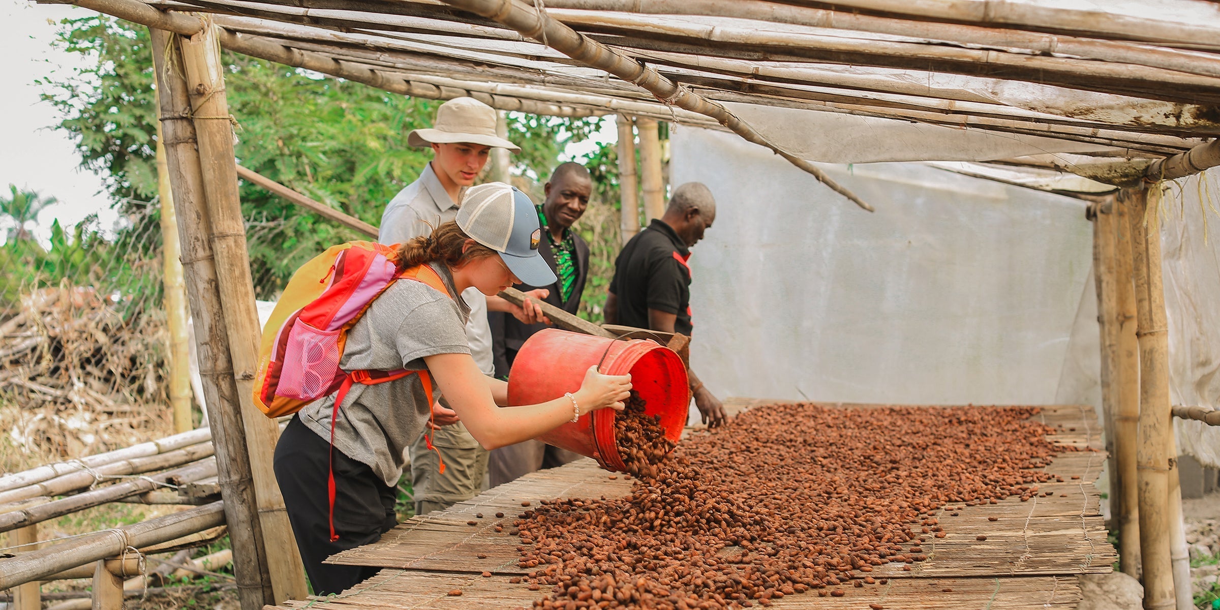 Chocolate University student travelers unloading raw cocoa beans on raised drying beds in Mababu, Tanzania